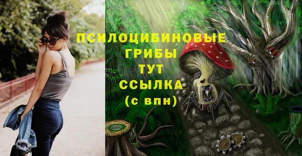 крисы Алексин