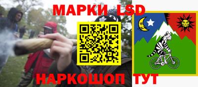 прущие грибы Будённовск
