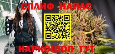 прущие грибы Будённовск