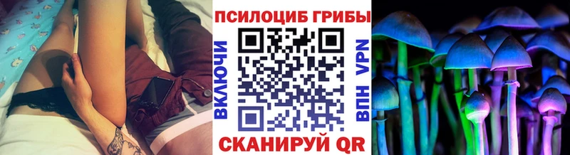 Галлюциногенные грибы прущие грибы  Балашиха 