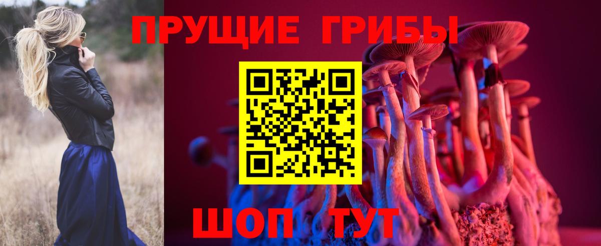 Балашиха  Галлюциногенные грибы Psilocybe  Галлюциногенные грибы Cubensis  Вход с VPN 